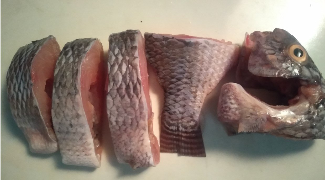 197576756_348177706652153_6035100275795027849_n